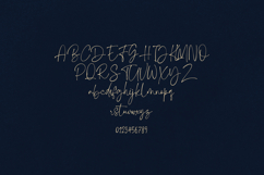 Whimsy Write Elegant Handwritten Script Font Product Image 2