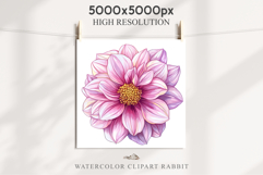Pink Spring Dahlia Flowers Daisies Pansies Lilies Snapdragon Product Image 3