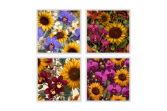 Orchid &amp; Sunflower Digital Paper | Flower Pattern Product Image 2