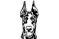 Doberman dog/Dog Svg/Png/Jpg/Ai/Vector purebred breed/Pet Product Image 3