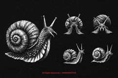 10 Bundle Dark Art Snail Mollusk Slime Tentacle Invertebrate Product Image 3