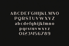 Bungalow Headline Soft Modern Display Font Product Image 2