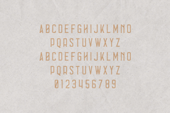 Errorist Textured Vintage Serif Display Font Product Image 2