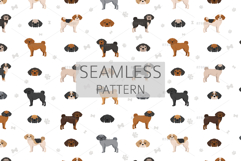 Puggle Pug Beagle mix Product Image 5