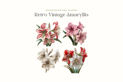 Retro Vintage Amaryllis Clipart Product Image 2