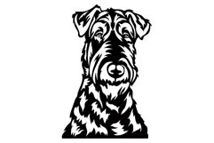 AiredaleTerrier dog/Dog Svg/Png/Jpg/Ai/Vector pet Product Image 3