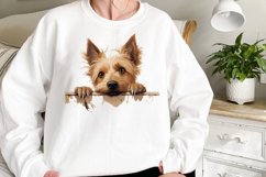 Breeds Of Peeking Dogs Collection Clipart Product Image 2