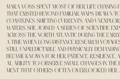 Stonebury Sculpted Display Serif Font Product Image 2