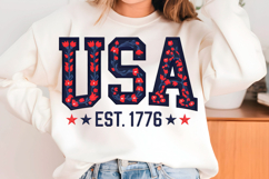 4th of July PNG, Independence Bundle Product Image 3