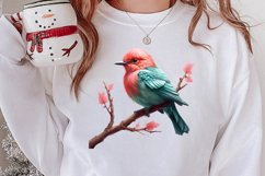 Christmas Birds Clipart , Christmas Birds Clipart Product Image 2