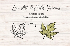 Maple Autumn Leaf Illustration SVG Product Image 2