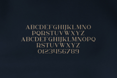 Nelipot Organic Serif Font Product Image 2