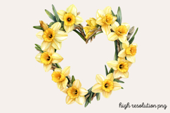 Springtime Daffodils Easter Clipart Bundle PNG Product Image 7