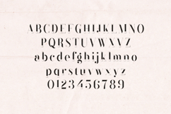 Black Goose Modern Editorial Serif Font Product Image 2