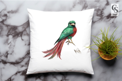 Green Quetzal Bird Watercolor Clipart Sublimation PNG Product Image 3