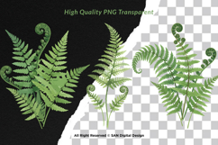 15 Bundle Watercolor Fern Leaf Botanical Aesthetic Tropical Product Image 2