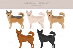 Norwegian Lundehund clipart Product Image 4