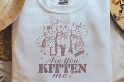 Vintage Funny Cat you kitten me PNG Product Image 2