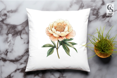 Blush Peony Watercolor Clipart Sublimation PNG Product Image 2
