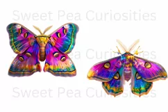 Moths, Junk Journal, PNG, Clipart, Ephemera, Butterflies Product Image 2