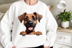 Peeking Dog Collection Clipart Product Image 2