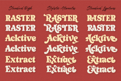 Axstura JM Font Duo Product Image 3