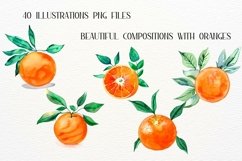 Oranges Illustration, Orange Flowers, Watercolor Tangerine Product Image 2
