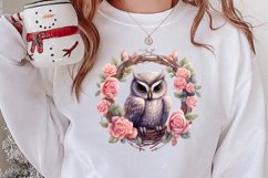 Christmas Owl Clipart, Christmas Owl Clipart, Christmas Owl Product Image 2
