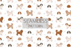 Cockachon. Cocker Spaniel Bichon mix Product Image 6