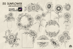 Sunflower Procreate stamp brushes Product Image 2