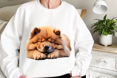 Cute Sleeping Dogs Clipart Product Image 2