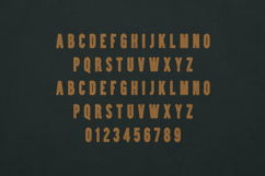 Brawn Display Font Bold Retro Distressed Product Image 2