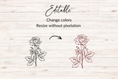 June Birth Flower Bouquet SVG - Rose Product Image 2