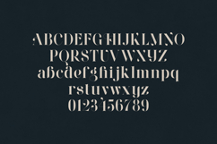 Wonderz Modern Editorial Serif Font Product Image 2