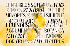 Galvero - Decorative Family Sans Serif Font Product Image 2