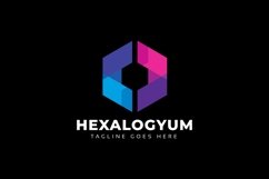 Hexagon Colorful Flat Logo Product Image 2