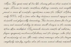 Folke Ornamental Signature Script Font Product Image 2