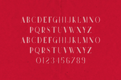 Future Flow Two Lines Serif Font Product Image 2