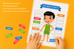 My Body Parts Printable Learning Cards Product Image 4