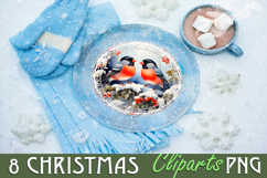 Birds Christmas Sublimation PNG Bundle Product Image 4