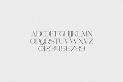 Chalga Delicate Serif Font Product Image 2