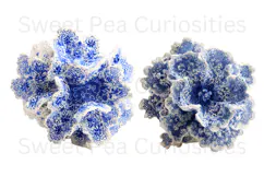 Blue Toile, Ephemera, PNG, Clipart, Junk Journal, flowers Product Image 2