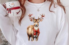 Watercolor Christmas Deer Sublimation Bundle, Christmas Deer Product Image 2