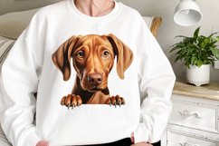 Breeds Of Peeking Dogs Collection Product Image 2