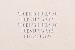 Thorn &amp; Tale Luxury High Contrast Serif Font Product Image 2