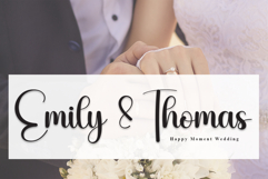 Rabbit Product Image 2