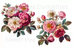 Flowers, Junk Journal, PNG, Clipart, Ephemera, Botanical Product Image 2