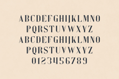 Kompot Elegant Modern Serif Display Font Product Image 2