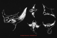 10 Bundle Dark Art Manta Stingray Pari Fish Ocean Dive Product Image 3