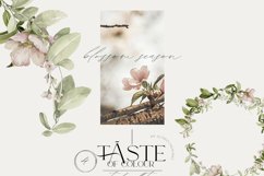 Field summer flowers fruits clipart Product Image 3